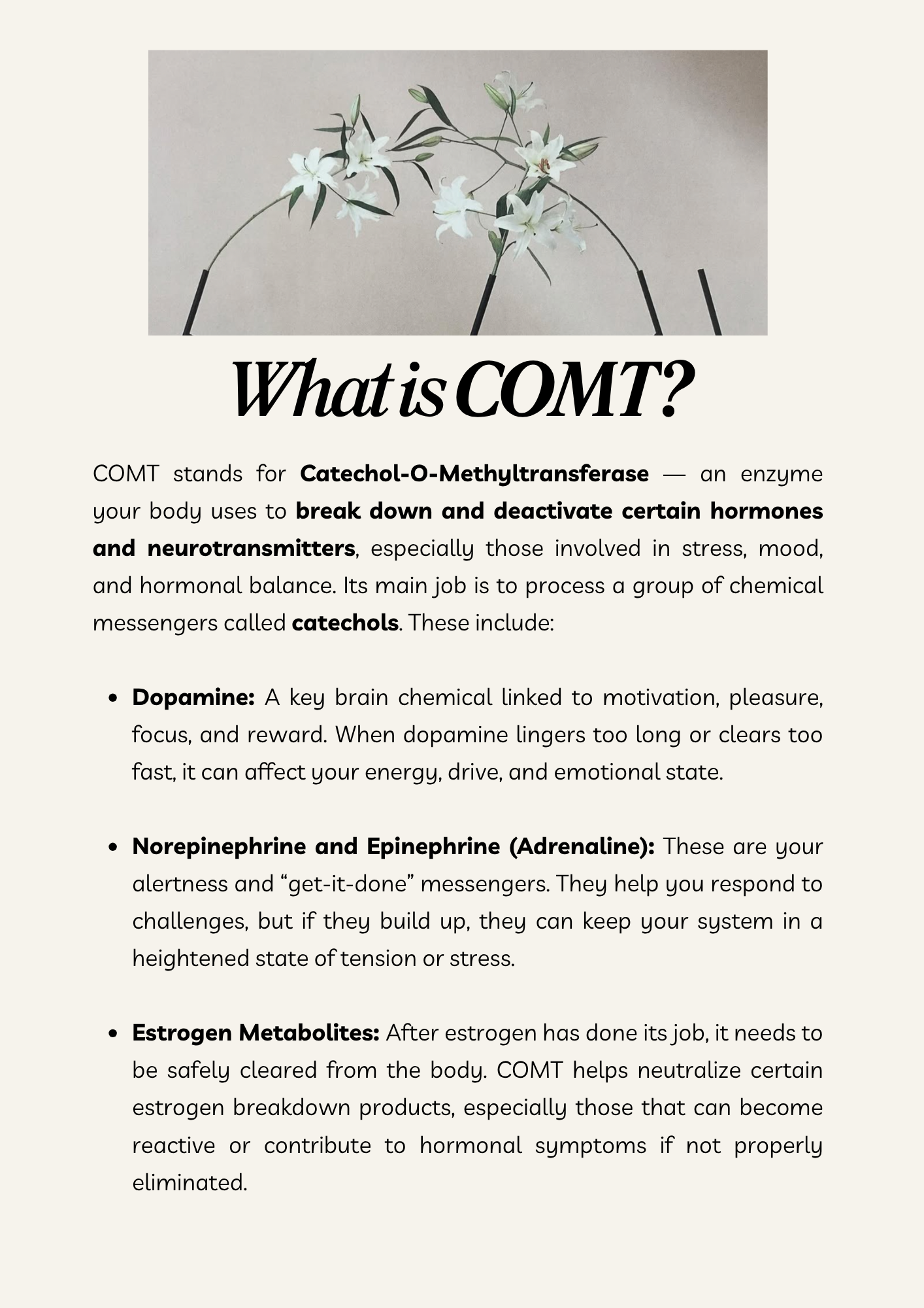"What is COMT?" chapter from the COMT SNP & Female Wellbeing Guide by The Gene Formula, explaining how the COMT enzyme impacts dopamine, adrenaline, and estrogen metabolism in women.