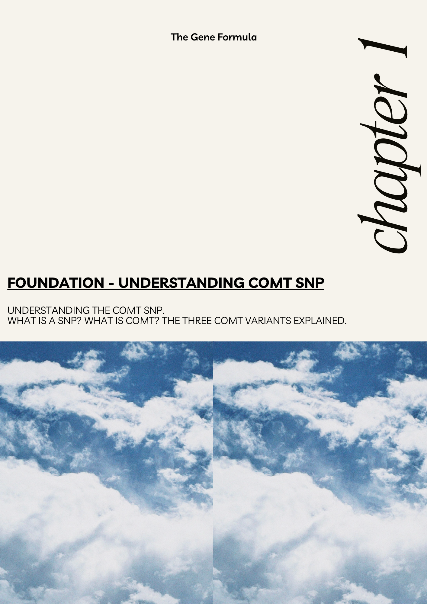 Chapter 1 from the COMT SNP & Female Wellbeing Guide by The Gene Formula, introducing COMT gene types, SNP basics, and the foundations of slow, fast, and mixed variants.